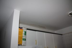IMG_0365